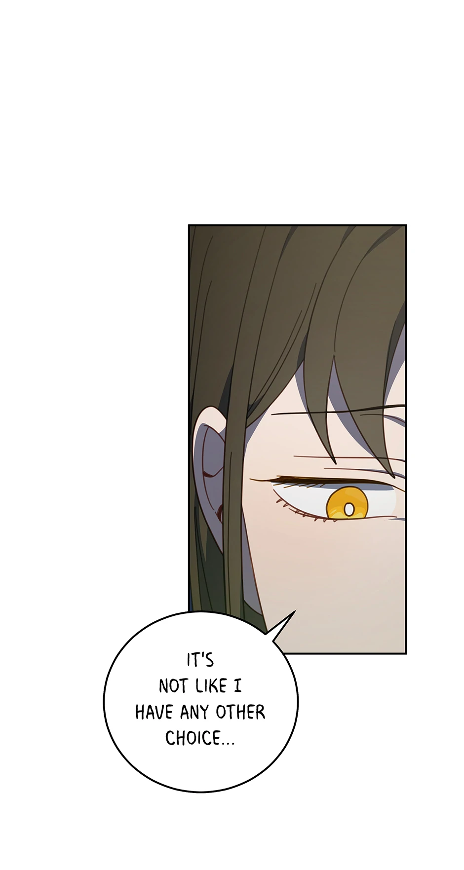 An animal hospital in the border area Chapter 127 8